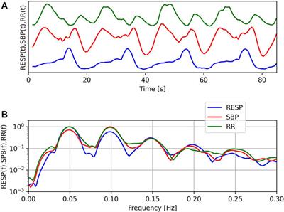 Unexpected Cardiovascular Oscillations at 0.1 Hz During Slow Speech Guided Breathing (OM Chanting) at 0.05 Hz